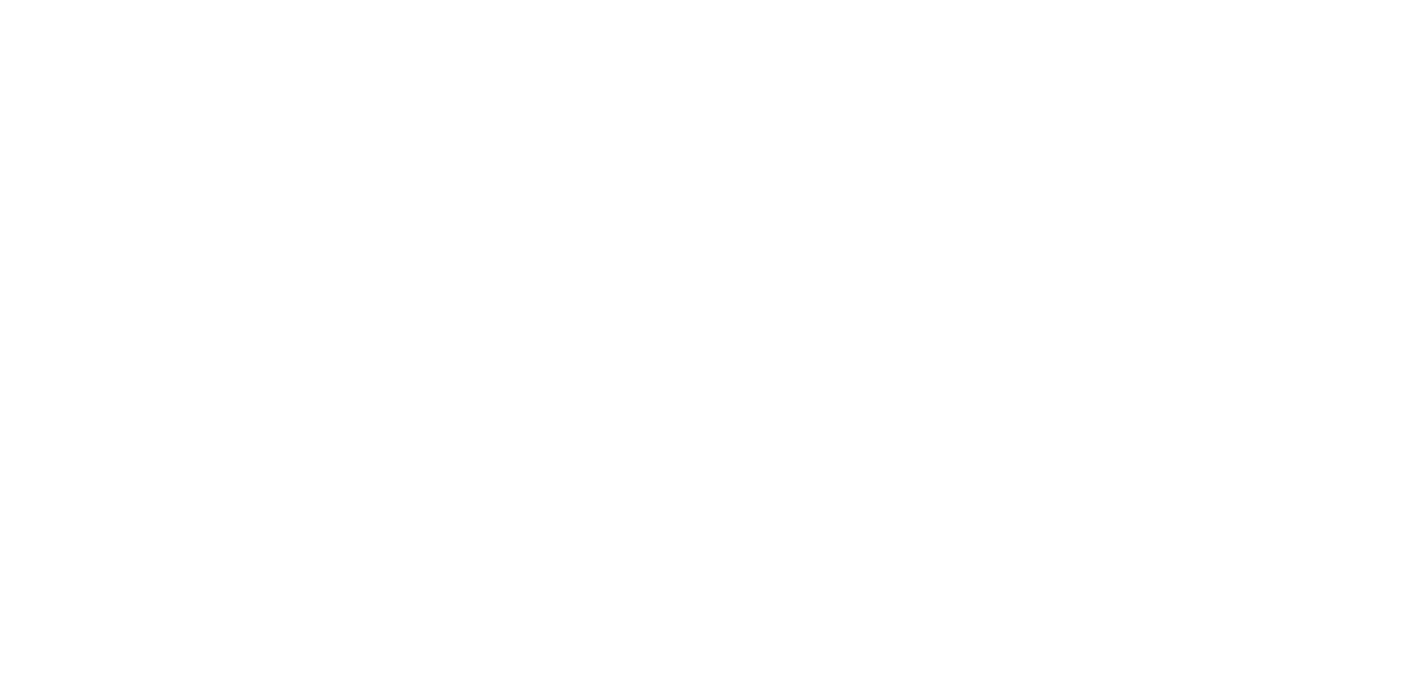 Tampa Bay Area Chiropractor, Dr. Blair Milo